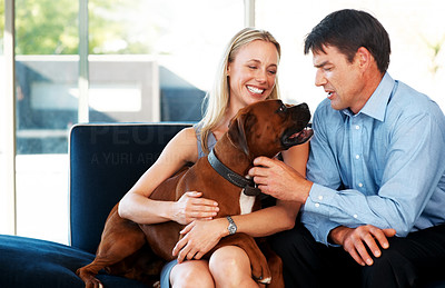 Smiling young couple sitting on sofa with pet