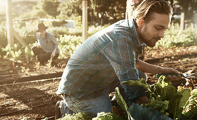 Organic is worth getting your hands dirty for