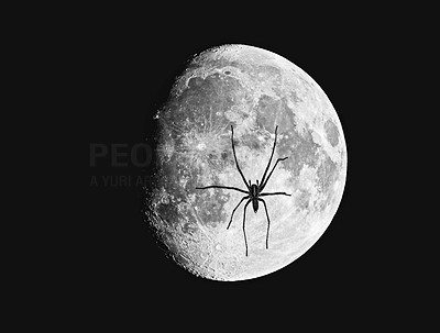 The moon and spider