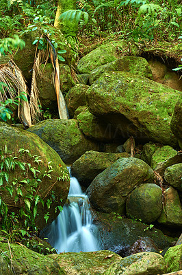 Small waterfall in the jungel