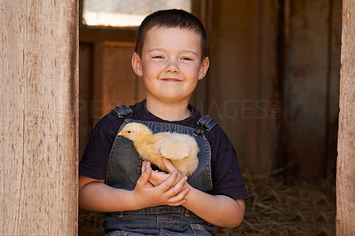 Raising his own chickens