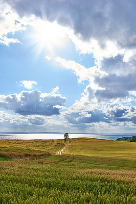 Coast of Kattegat - Jutland