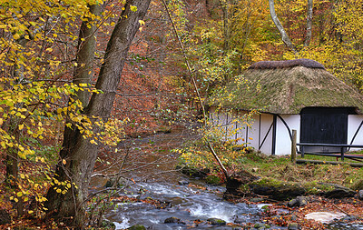 Old fishing house by the river in the forest