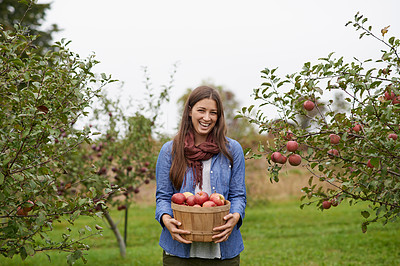 It\'s apple picking season!