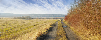 Dirt road in early spring