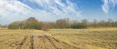 Farmland in early spring