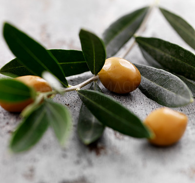 Olive branch on wood background