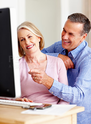 Cheerful mature couple with man pointing on computer screen