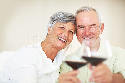Smiling mature couple with wine glasses