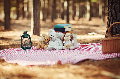 The teddybears are having a picnic