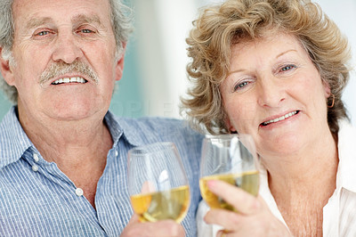 Portrait of a retired old couple holding wine glasses