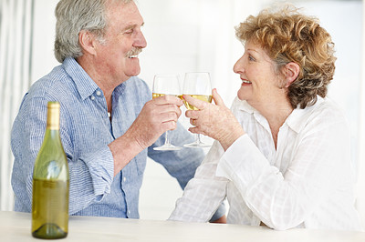Happy mature couple toasting wine glasses
