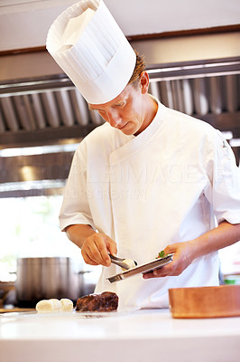 Chef working in the restaurant kitchen