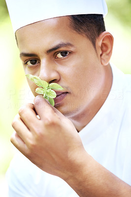 Young cook smelling fresh cut basil