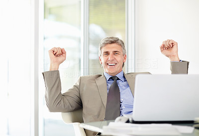 Happy business man with his arm rising and a laptop on desk