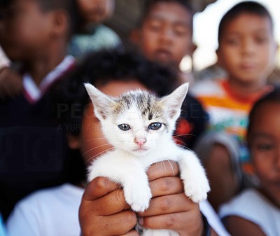 Street Kid holding a kitten