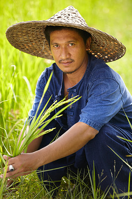 Rice farmer - Thailand