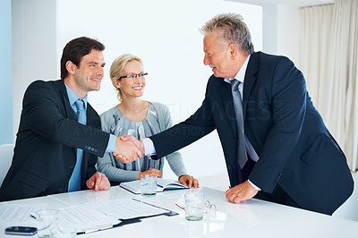 Senior business man shaking hands with male executive