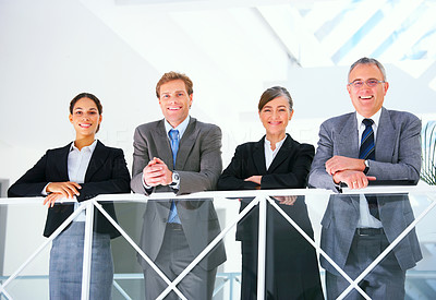 Portrait of a business team