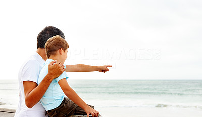 Son pointing towards the sea, showing something to his father