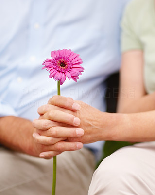 Mid section of a romantic couple holding a pink flower