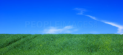 Landscape - green and blue