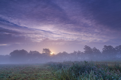 Misty morning on the farm