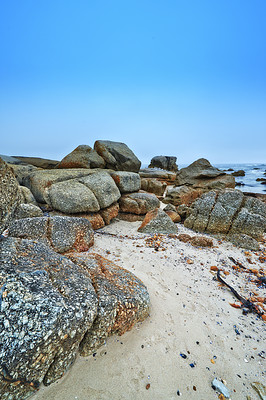 Rocky shores of the Western Cape