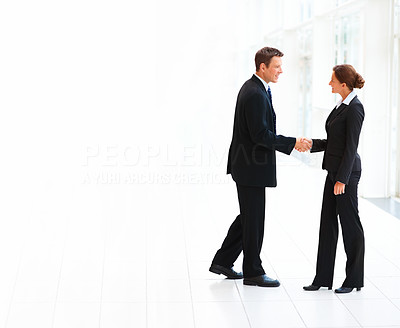 Portrait of business people shaking hand with eachother over white background