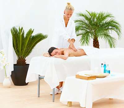 Young lady getting back massage from masseuse at spa