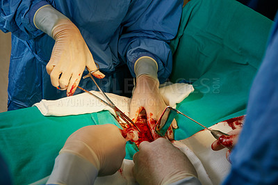 The patient’s surgery is in skilled hands