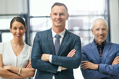 Buy stock photo Portrait of a group of businesspeople standing in an office