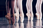 Ballet is for dancers of all shades