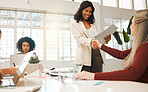 Two businesswomen greeting with a handshake. Leading businesswoman shaking hands with a staff member. African american businesswoman handshake with colleague.Staff members in an interview