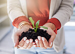 Closeup of unknown mixed race businesswoman holding a seedling in soil in hands. Hispanic professional standing alone and developing eco-friendly sustainable business. Entrepreneur nurturing success